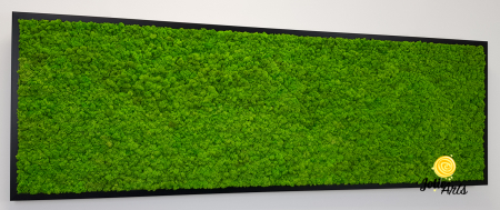 Tablou licheni naturali stabilizati, culoare verde deschis, rama argintie 20 X 80 cm, Jolie Arts, www.tablouriculicheni.ro-2 [4]