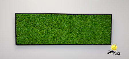 Tablou licheni naturali stabilizați verde deschis – Jolie Arts [3]