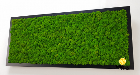 Tablou licheni naturali stabilizați verde deschis – Jolie Arts [4]
