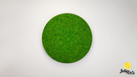 Tablou licheni verde deschis ramă rotundă – Jolie Arts [2]
