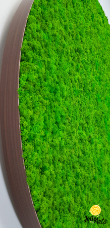 Tablou licheni verde deschis ramă rotundă – Jolie Arts [5]