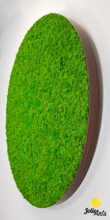 Tablou licheni verde deschis ramă rotundă – Jolie Arts [4]