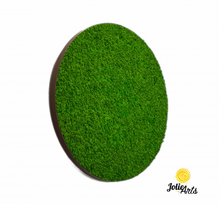 Toate Produsele - Tablou licheni verde deschis ramă rotundă – Jolie Arts