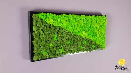 Tablou licheni naturali stabilizati, dimensiune 25 x 50 cm, rama neagra [1]