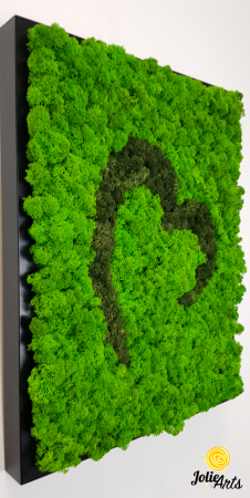 Tablou licheni naturali stabilizați, model Inimă Stilizată Jolie Arts, două nuanțe de verde [3]