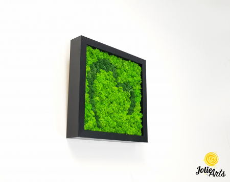 Tablou licheni naturali stabilizați, model Inimă Stilizată Jolie Arts, două nuanțe de verde [3]