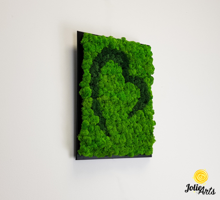 Tablou licheni naturali stabilizați, model Inimă Stilizată Jolie Arts, două nuanțe de verde [1]