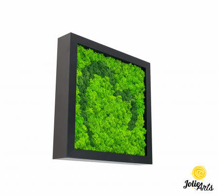 Tablouri - Tablou licheni naturali stabilizați, model Inimă Stilizată Jolie Arts, două nuanțe de verde