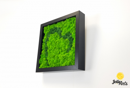 Tablou licheni naturali stabilizați, model Inimă Stilizată Jolie Arts, două nuanțe de verde [1]