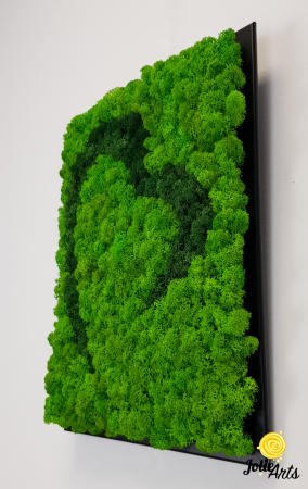 Tablou licheni naturali stabilizați, model Inimă Stilizată Jolie Arts, două nuanțe de verde [4]