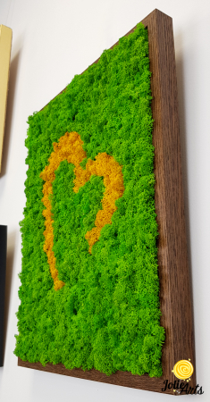 Tablou licheni naturali stabilizati, model inima stilizata Jolie Arts [2]