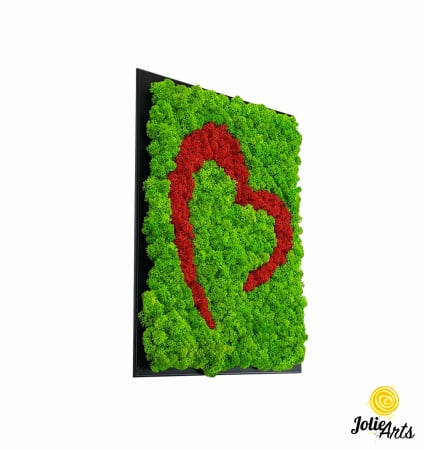 Tablouri licheni - Model Inimă Stilizată Roșie – Licheni Naturali