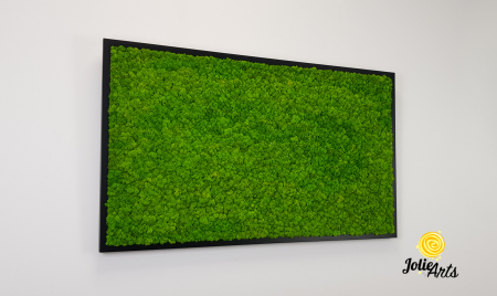 Tablou licheni naturali stabilizați verde deschis – Jolie Arts [4]