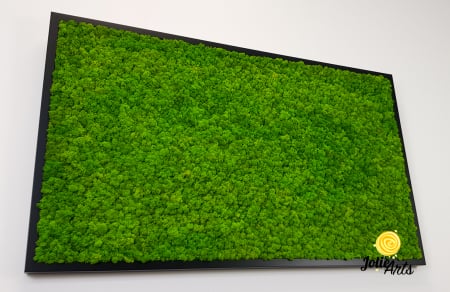 Tablou licheni naturali stabilizați verde deschis – Jolie Arts [6]
