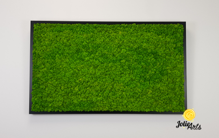 Tablou licheni naturali stabilizați verde deschis – Jolie Arts [3]