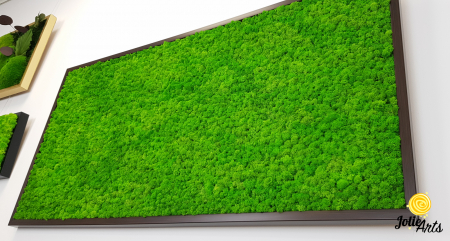 Tablou licheni naturali stabilizați verde deschis – Jolie Arts [6]