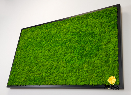 Tablou licheni naturali stabilizați verde deschis – Jolie Arts [5]