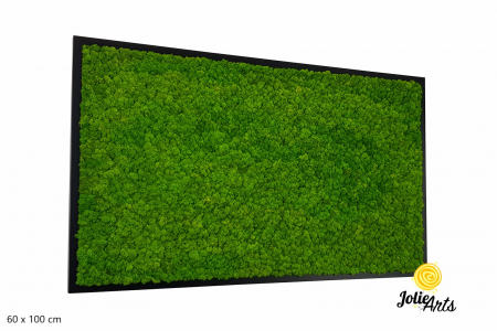Tablou licheni naturali stabilizați verde deschis – Jolie Arts [1]