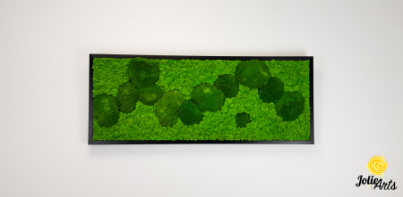 tablou licheni si muschi bombati stabilizati verde deschis Jolie Arts [2]