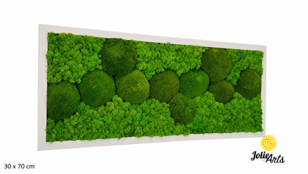 Toate Produsele - tablou licheni si muschi bombati stabilizati verde deschis Jolie Arts