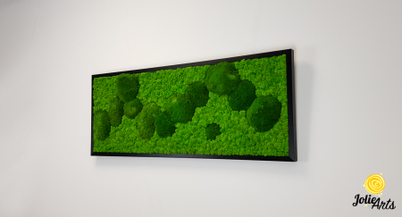 tablou licheni si muschi bombati stabilizati verde deschis Jolie Arts [1]