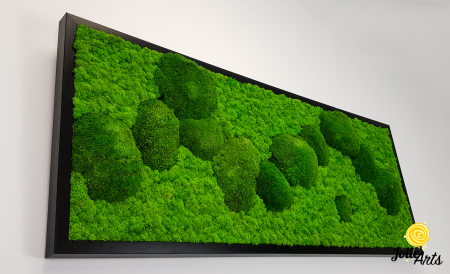 tablou licheni si muschi bombati stabilizati verde deschis Jolie Arts [5]