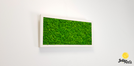 Tablou licheni stabilizați culoare verde deschis – Jolie Arts [3]