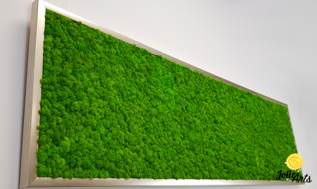 Tablou licheni naturali stabilizati, culoare verde deschis, 40 x 130 cm, Jolie Arts, www.tablouriculicheni.ro-2 [4]