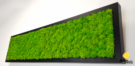 Tablou licheni stabilizați culoare verde deschis – Jolie Arts [6]