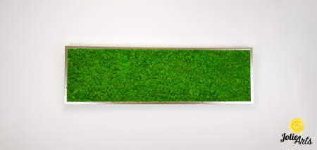 Tablou licheni stabilizați culoare verde deschis – Jolie Arts [4]