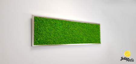 Tablou licheni naturali stabilizati, culoare verde deschis, 40 x 130 cm, Jolie Arts, www.tablouriculicheni.ro-2 [3]