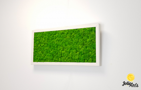 Tablou licheni stabilizați culoare verde deschis – Jolie Arts [1]
