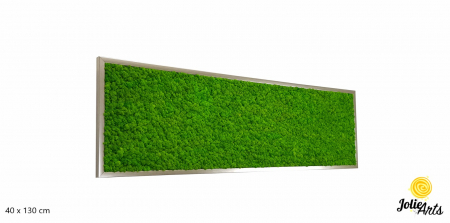 Tablou licheni stabilizați culoare verde deschis – Jolie Arts [1]