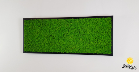 Tablou licheni stabilizați culoare verde deschis – Jolie Arts [1]