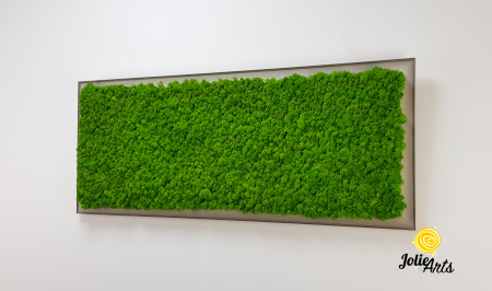 Tablou licheni verde deschis ramă gri profil plat – Jolie Arts [3]