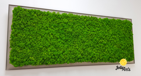 Tablou licheni verde deschis ramă gri profil plat – Jolie Arts [7]