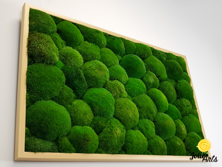 Tablou cu mușchi bombati naturali stabilizați, verde intens, decor bio, realizat manual [6]