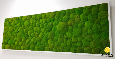 Tablou cu mușchi bombati naturali stabilizați, verde intens, decor bio, realizat manual [4]