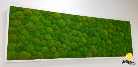 Tablou cu mușchi bombati naturali stabilizați, verde intens, decor bio, realizat manual [5]