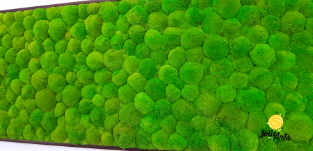 Tablou cu mușchi bombati naturali stabilizați, verde intens, decor bio, realizat manual [7]