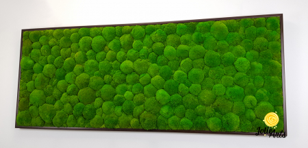 Tablou cu mușchi bombati naturali stabilizați, verde intens, decor bio, realizat manual [5]