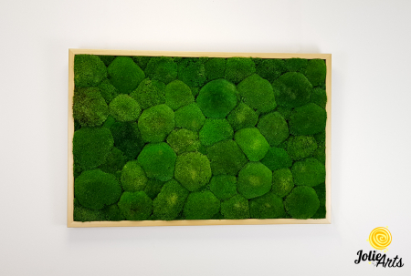 Tablou cu mușchi bombati naturali stabilizați, verde intens, decor bio, realizat manual [3]