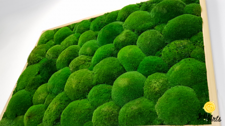 Tablou cu mușchi bombati naturali stabilizați, verde intens, decor bio, realizat manual [7]