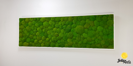 Tablou cu mușchi bombati naturali stabilizați, verde intens, decor bio, realizat manual [1]