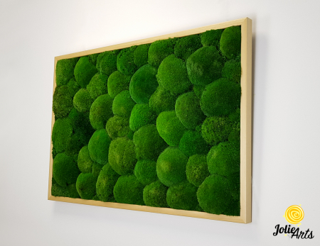 Tablou cu mușchi bombati naturali stabilizați, verde intens, decor bio, realizat manual [2]