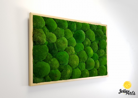 Tablou cu mușchi bombati naturali stabilizați, verde intens, decor bio, realizat manual [4]