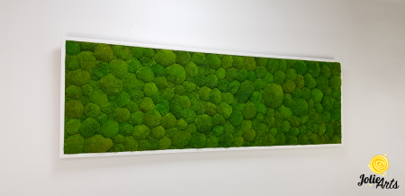 Tablou cu mușchi bombati naturali stabilizați, verde intens, decor bio, realizat manual [3]