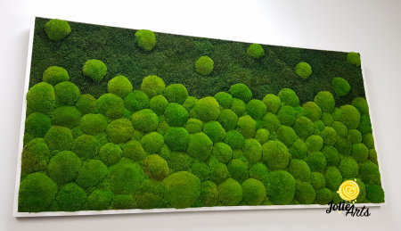 Tablou cu muschi bombati si muschi plati naturali stabilizati Jolie Arts [6]