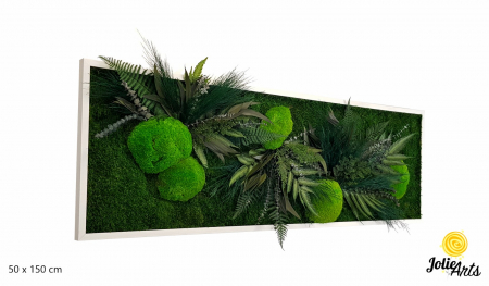 Tablou Mușchi și Plante Naturale Stabilizate Green Day [1]