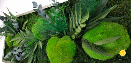 Tablou Mușchi și Plante Naturale Stabilizate Green Day [5]